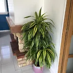Holiday home Le Clos Du Bannet *
