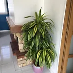 Le Clos Du Bannet Holiday home *