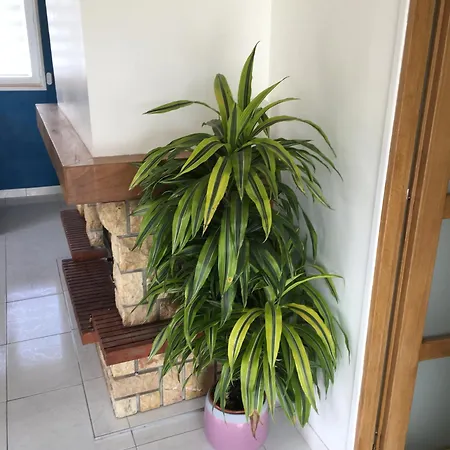 Casa de Férias Le Clos Du Bannet *