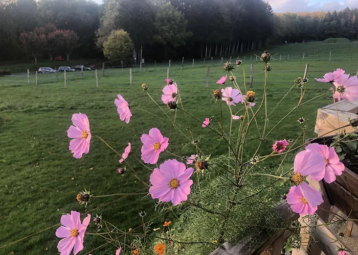 Le Clos Du Bannet Feriehus Givonne