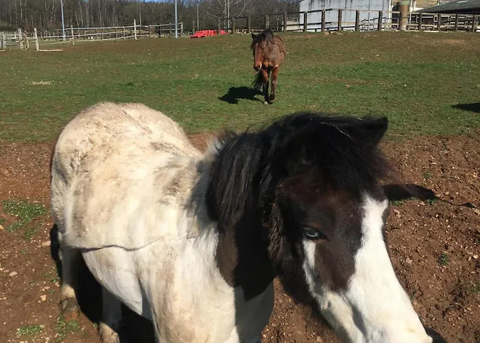 Le Clos Du Bannet Feriehus *
